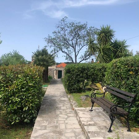 Charming Apartment For 3 Pax In Cavtat Zewnętrze zdjęcie