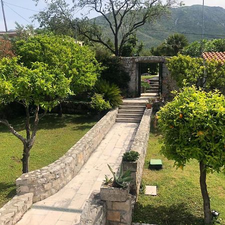 Charming Apartment For 3 Pax In Cavtat Zewnętrze zdjęcie