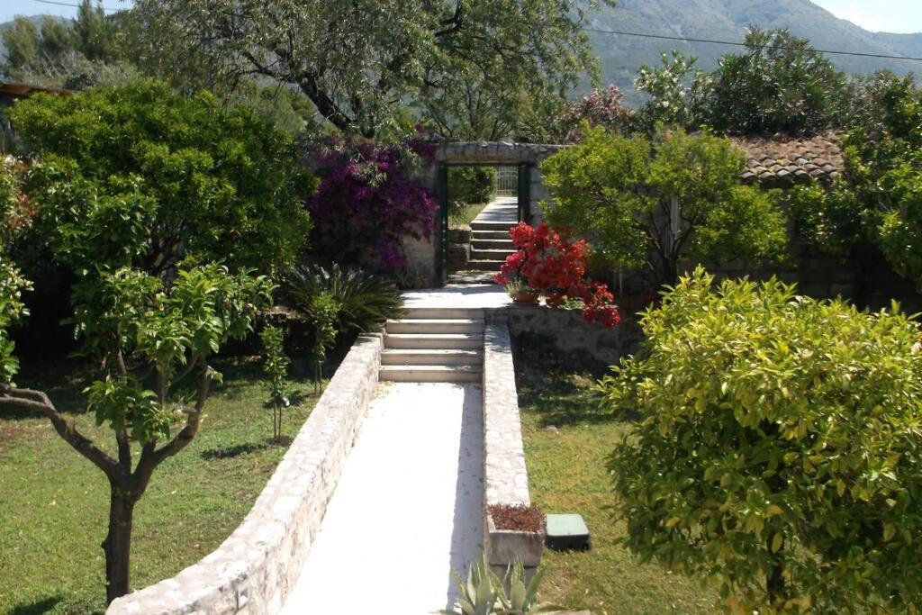 Charming Apartment For 3 Pax In Cavtat Zewnętrze zdjęcie