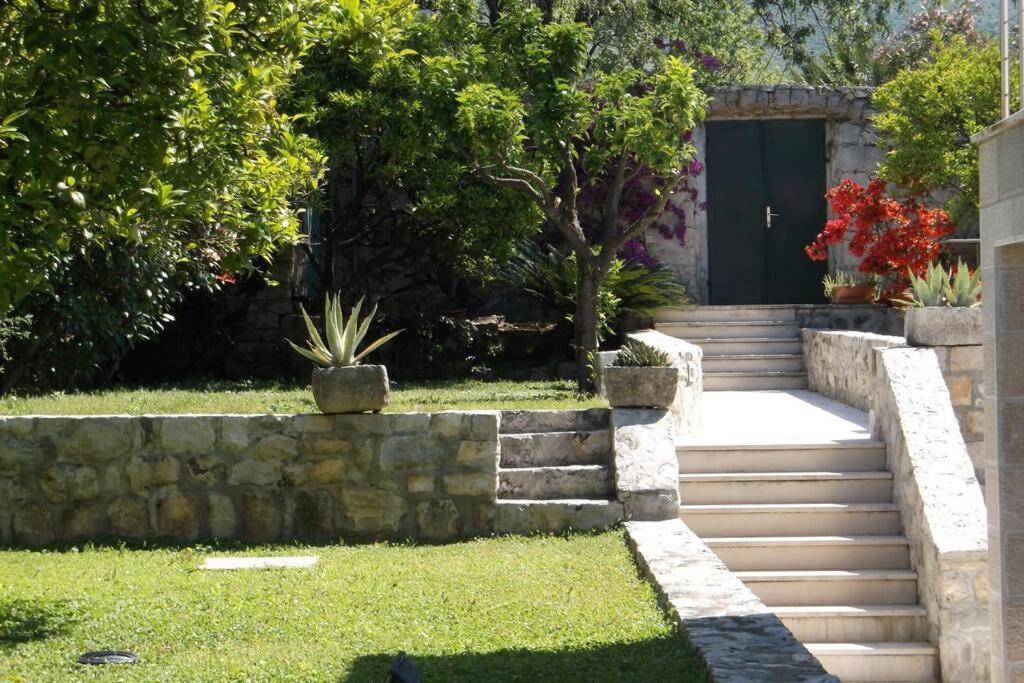 Charming Apartment For 3 Pax In Cavtat Zewnętrze zdjęcie