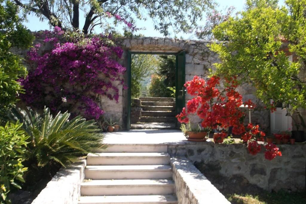Charming Apartment For 3 Pax In Cavtat Zewnętrze zdjęcie