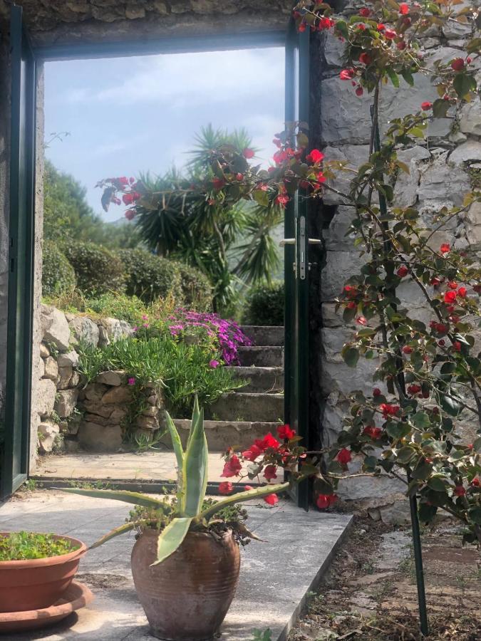 Charming Apartment For 3 Pax In Cavtat Zewnętrze zdjęcie