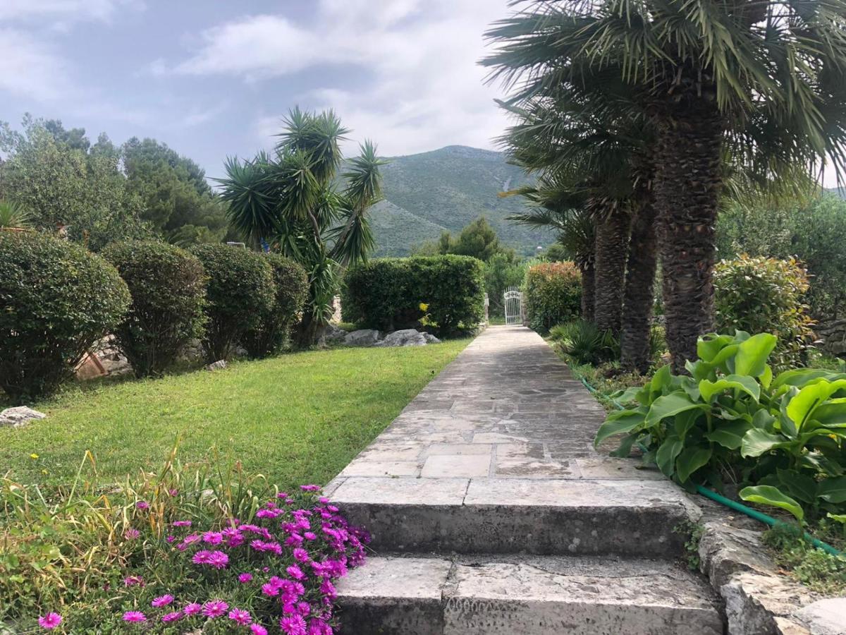 Charming Apartment For 3 Pax In Cavtat Zewnętrze zdjęcie